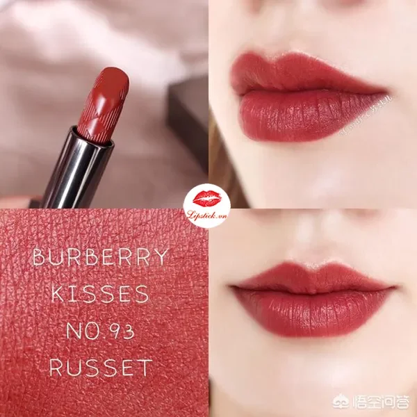 Son Burberry no.93 Russet