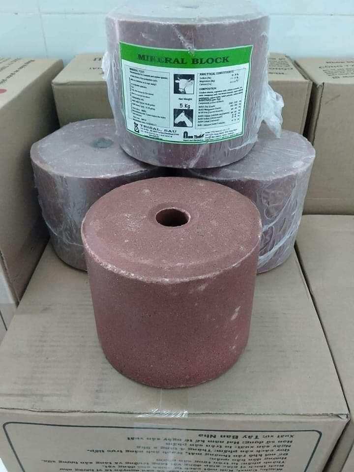 Đá liếm tổng hợp 1v/5 kg