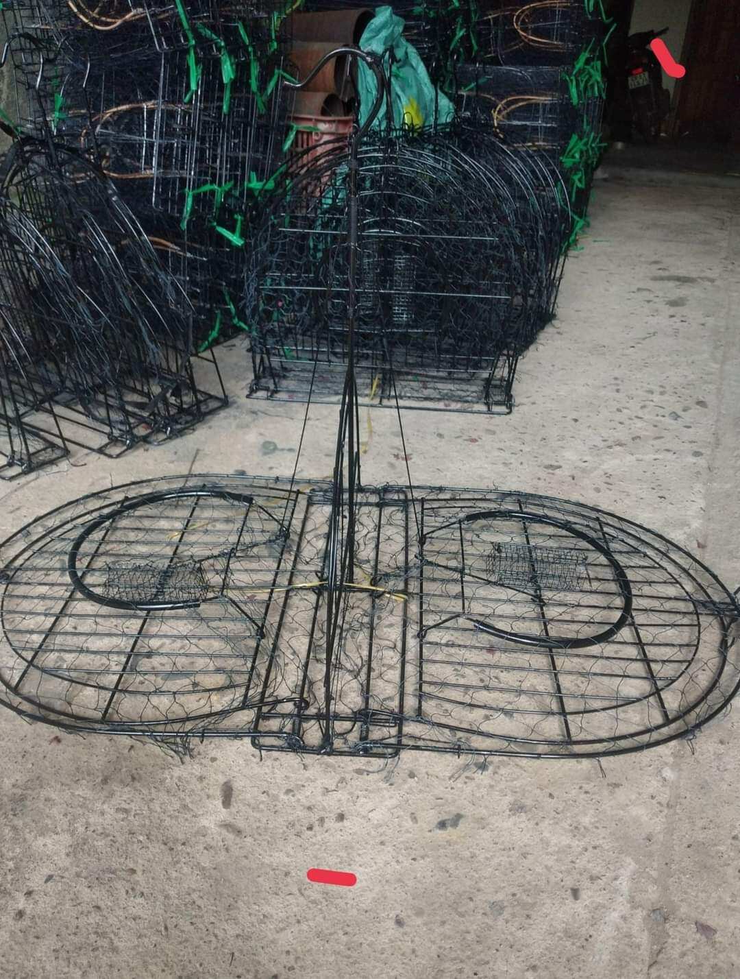 mẹt bịp 2 mặt ( bẫy bìm bịp)