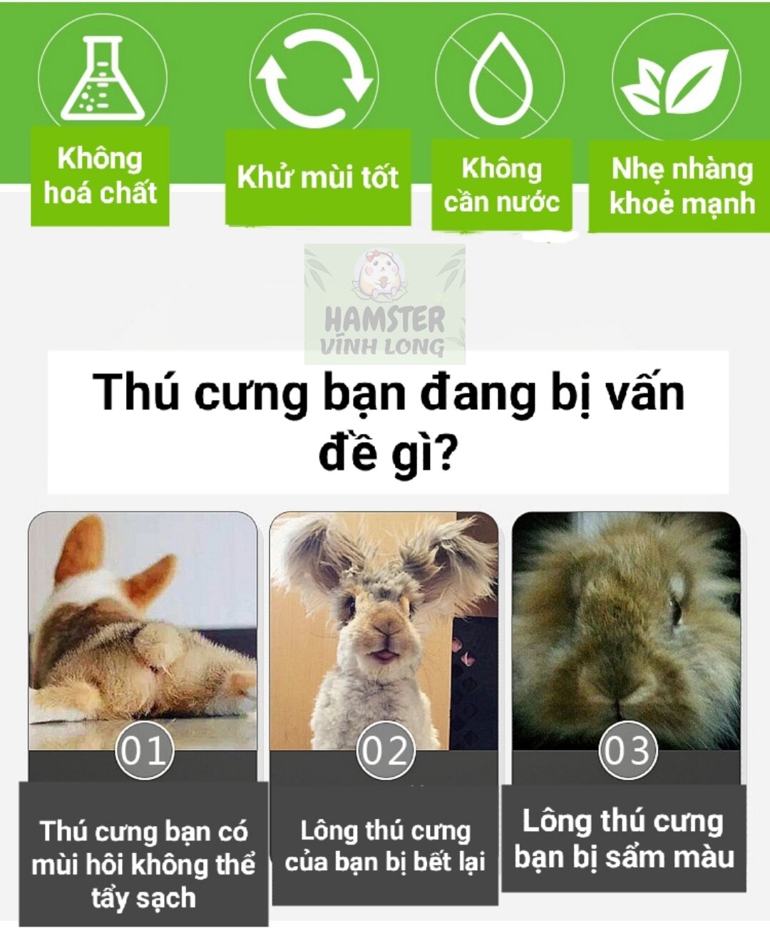 Bọt tắm khô cho hamster thỏ bọ sóc