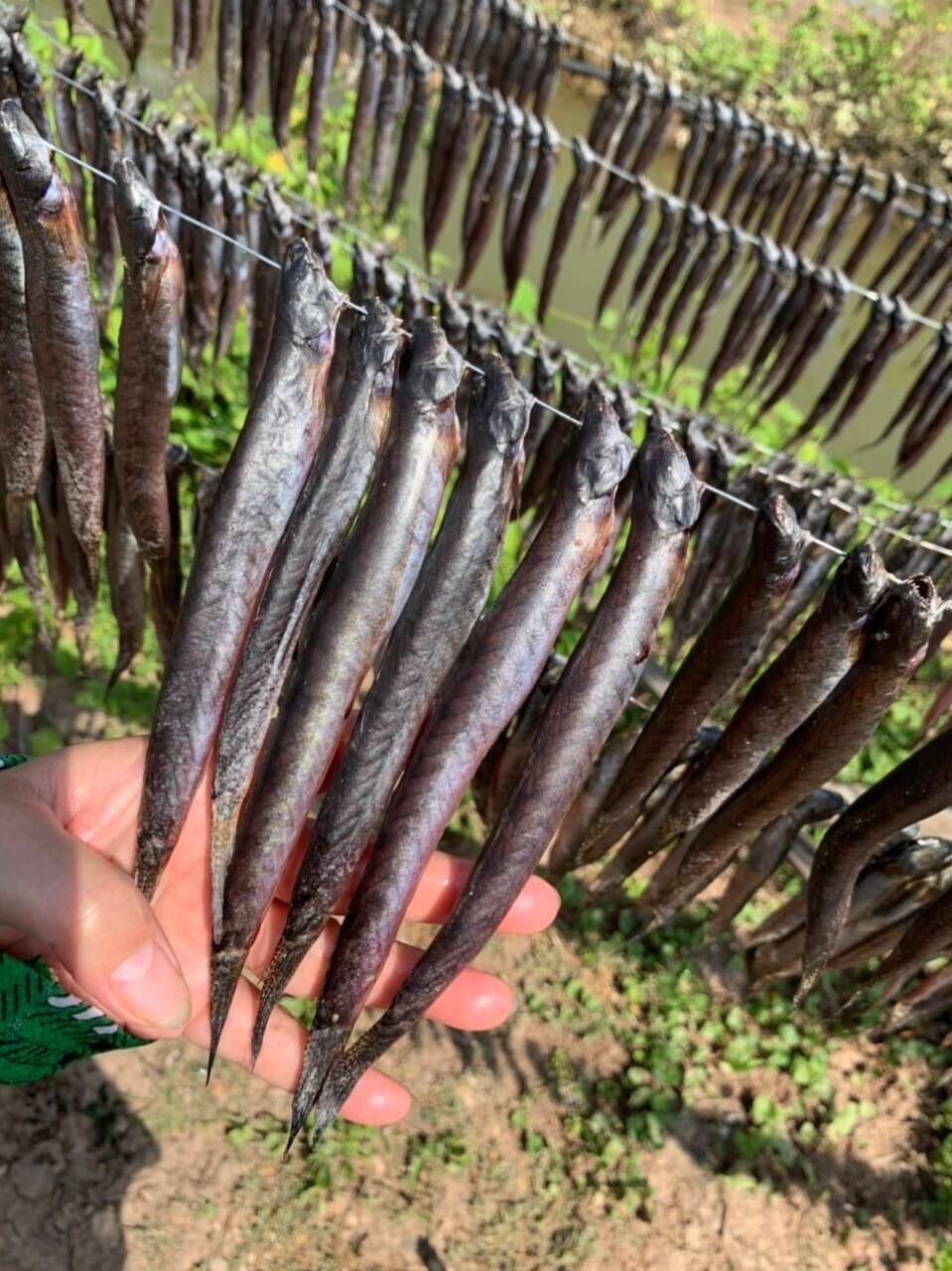 Khô cá kèo nhà làm 100g