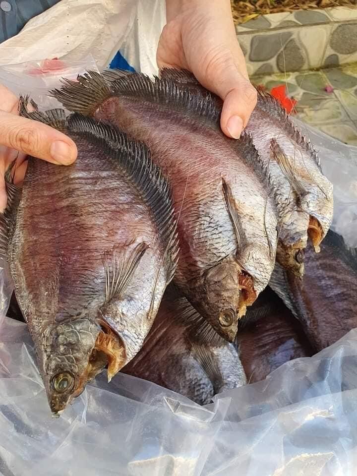 Khô cá sặc bổi 8con/kg loại 1 thượng hạng. mua ngay làm quà biếu, đặc sản giá rẻ
