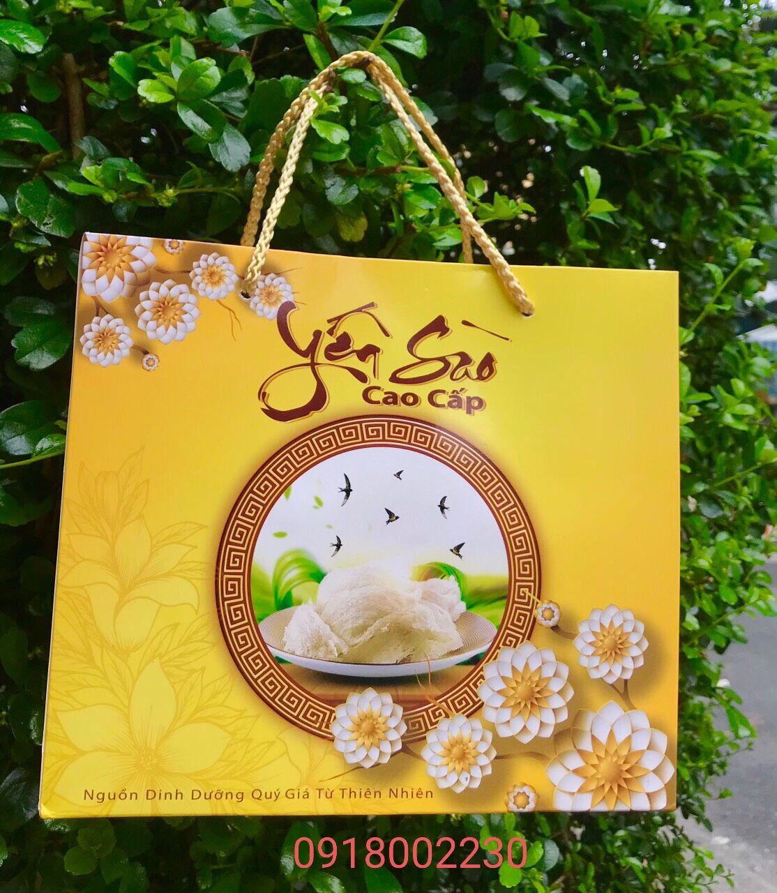 TÚI GIẤY ĐỰNG YẾN SÀO 50gr (KHÔNG ÉP KIM)