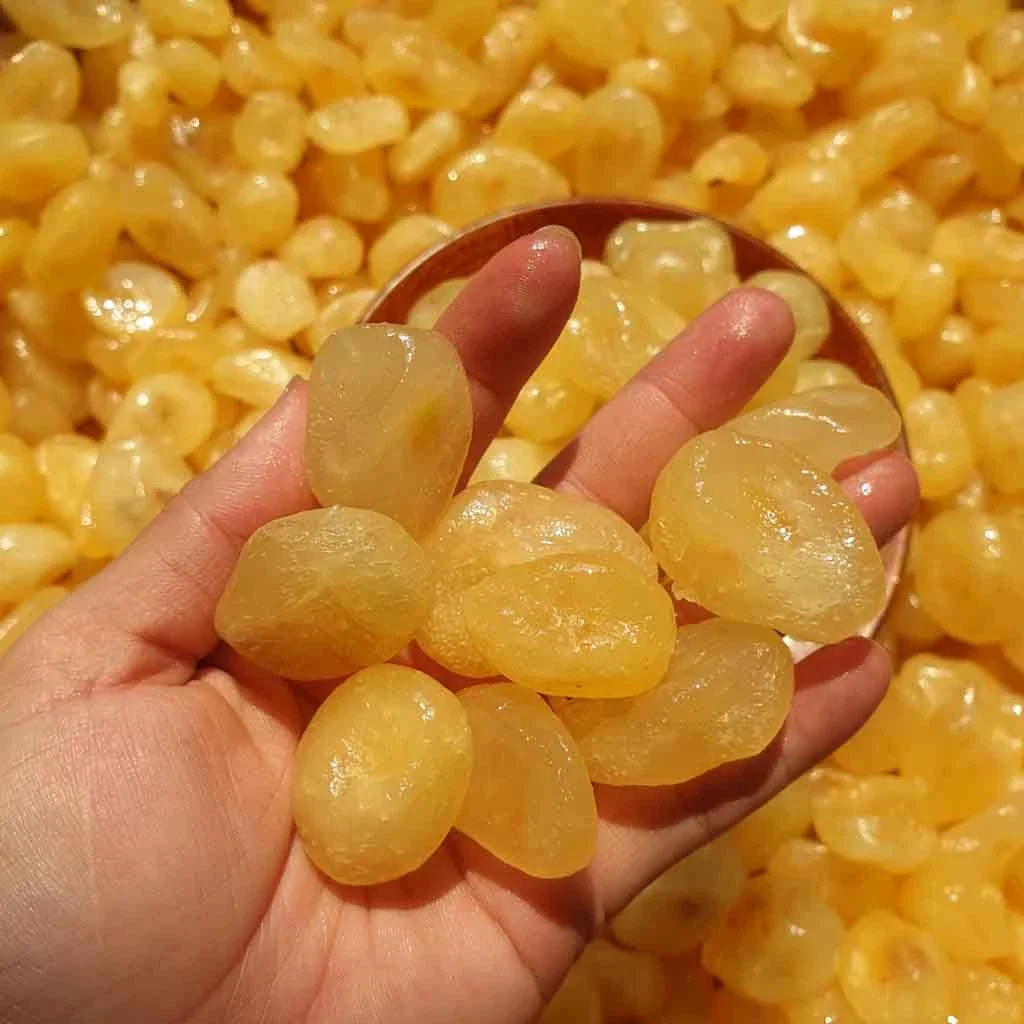 1kg chanh bao tử