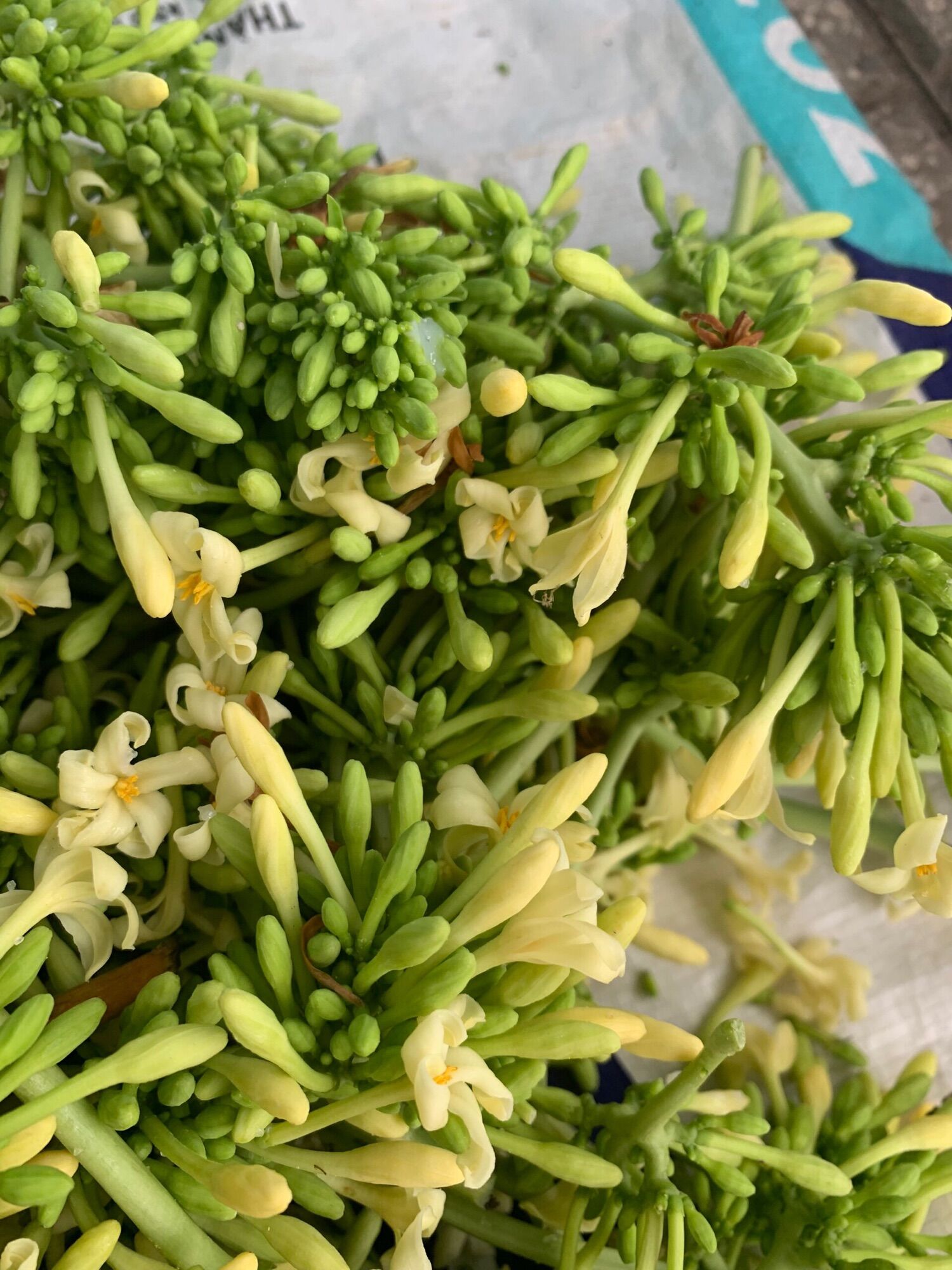 Hoa đu đủ đực tươi 500g. o949126979. bông đu đủ đực tươi. giao hoa sấy toàn quốc, hoa tươi miền nam. đọc kĩ mô tả.