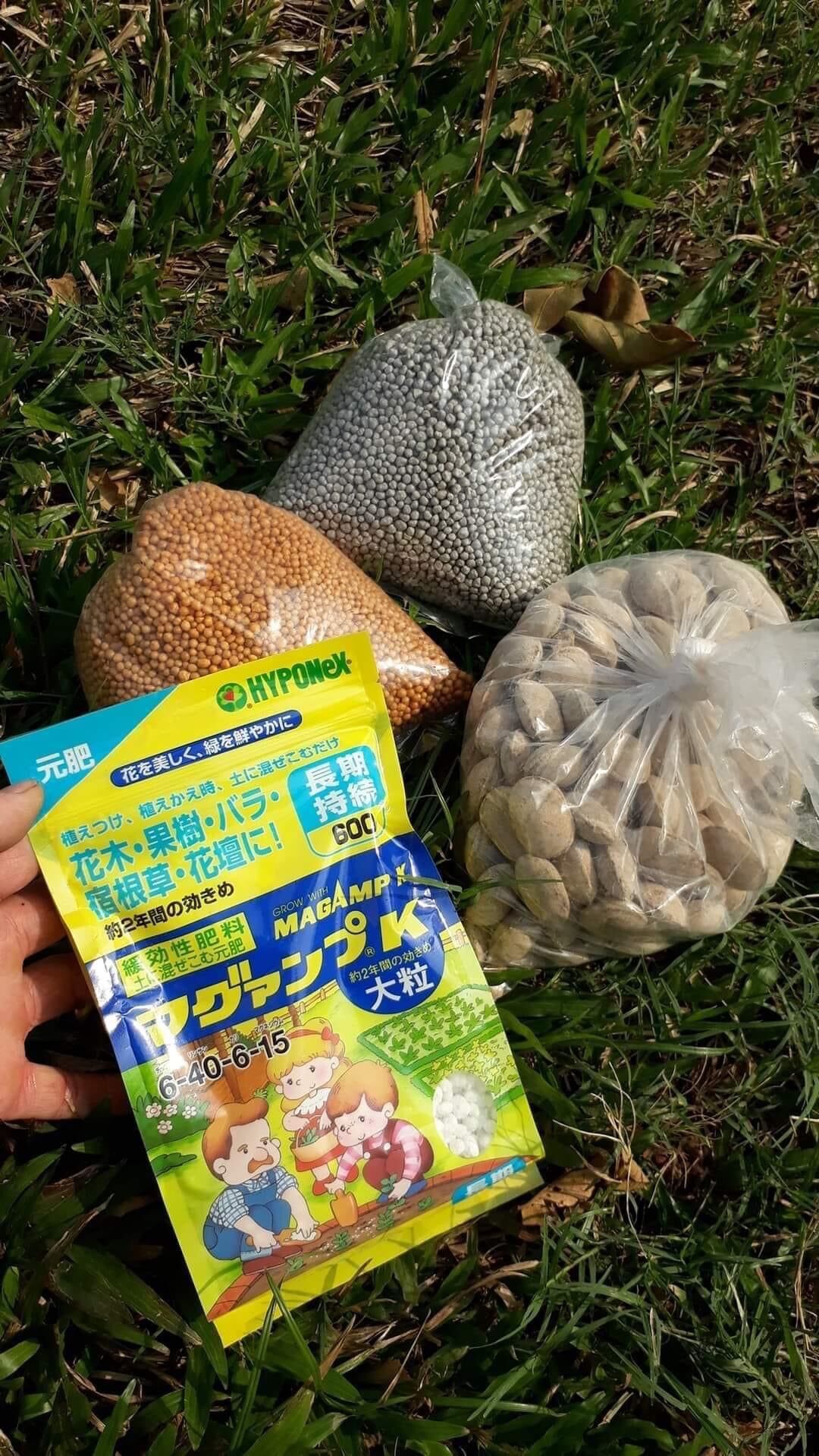 Phân hạt bàng - phân tan chậm hạt bàng
