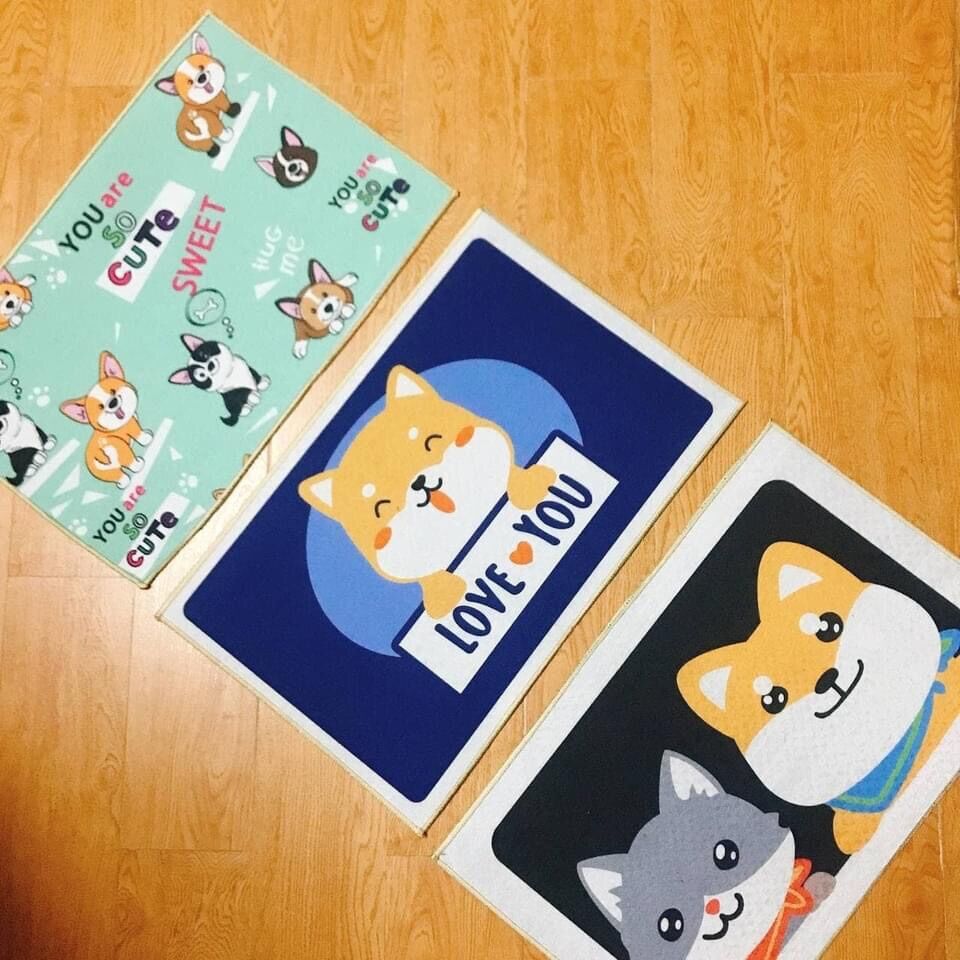 11k - Thảm lau chân hình thú 3D cute