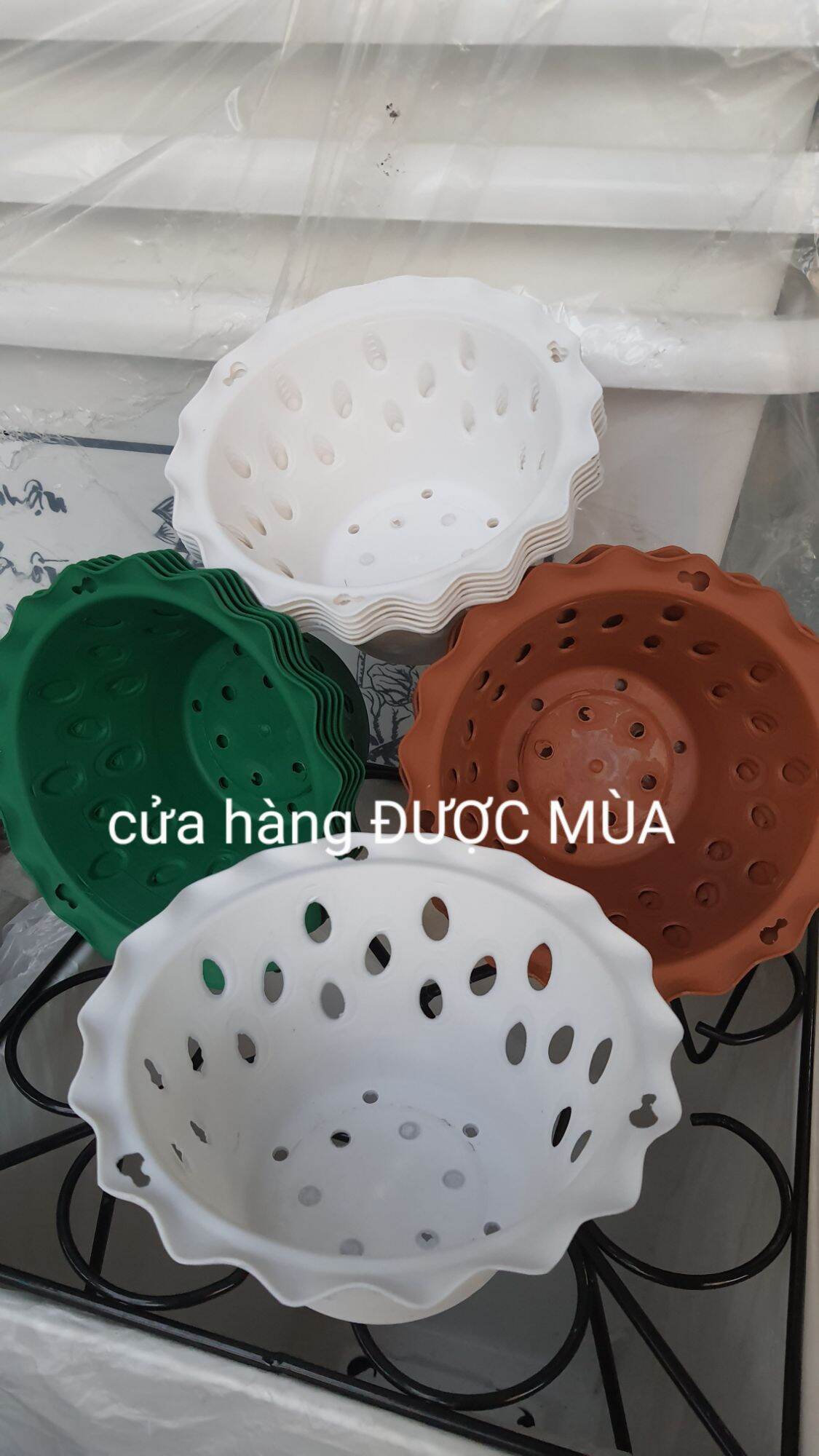 Combo 10 cái chậu nhựa trồng lan phi 16 siêu đẹp