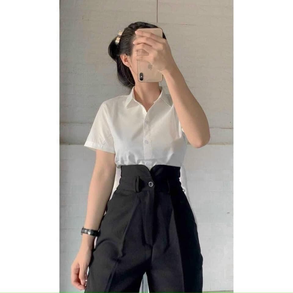 Quần tây lưng cao bèo