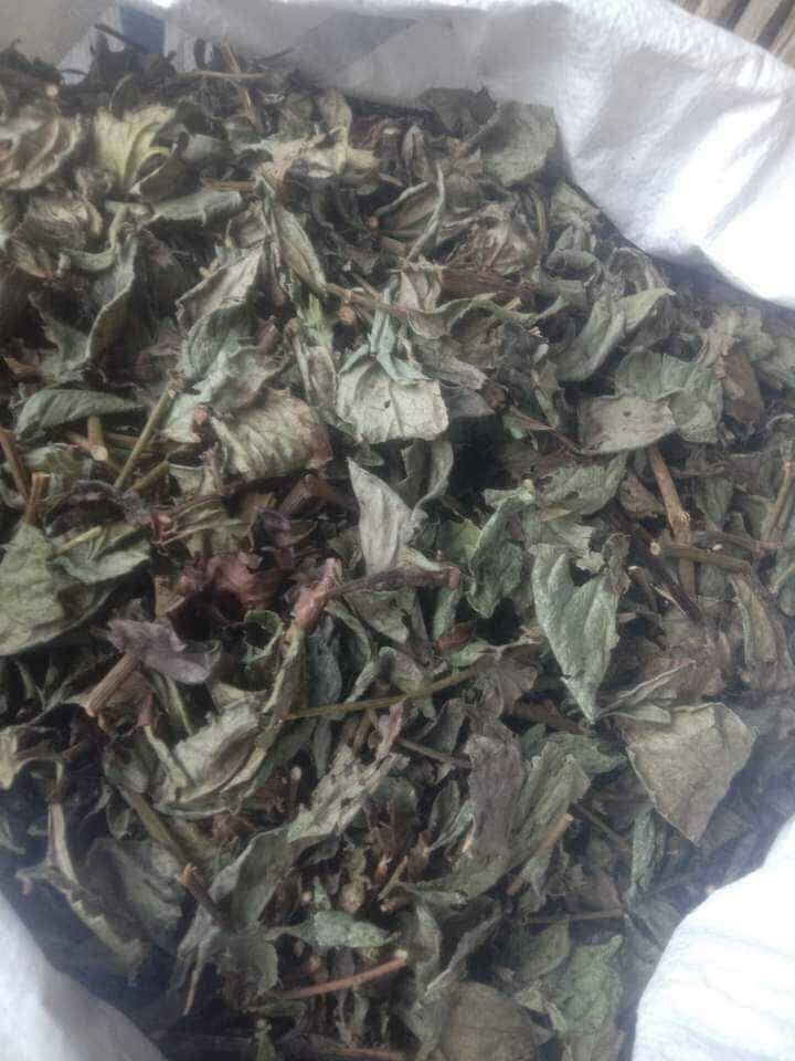 1 kg bầu đất tím khô