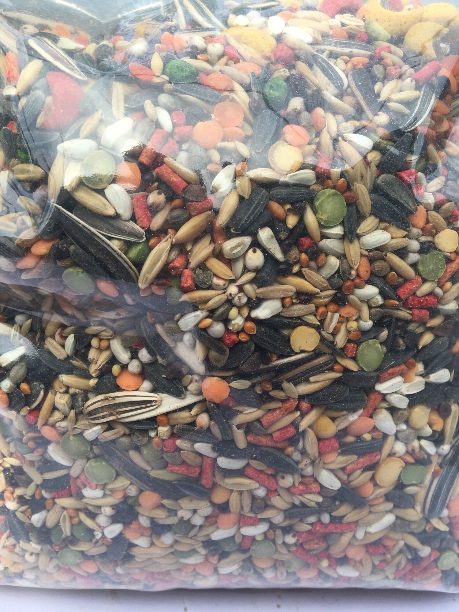 Thức ăn hỗn hợp cho vẹt 1kg