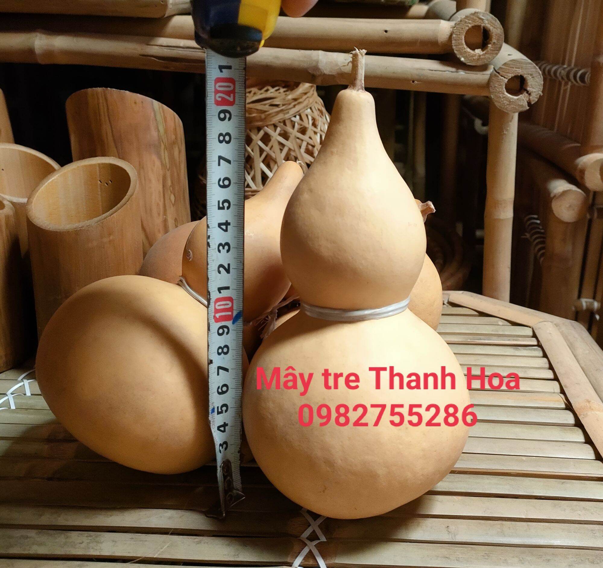 Bầu hồ lô