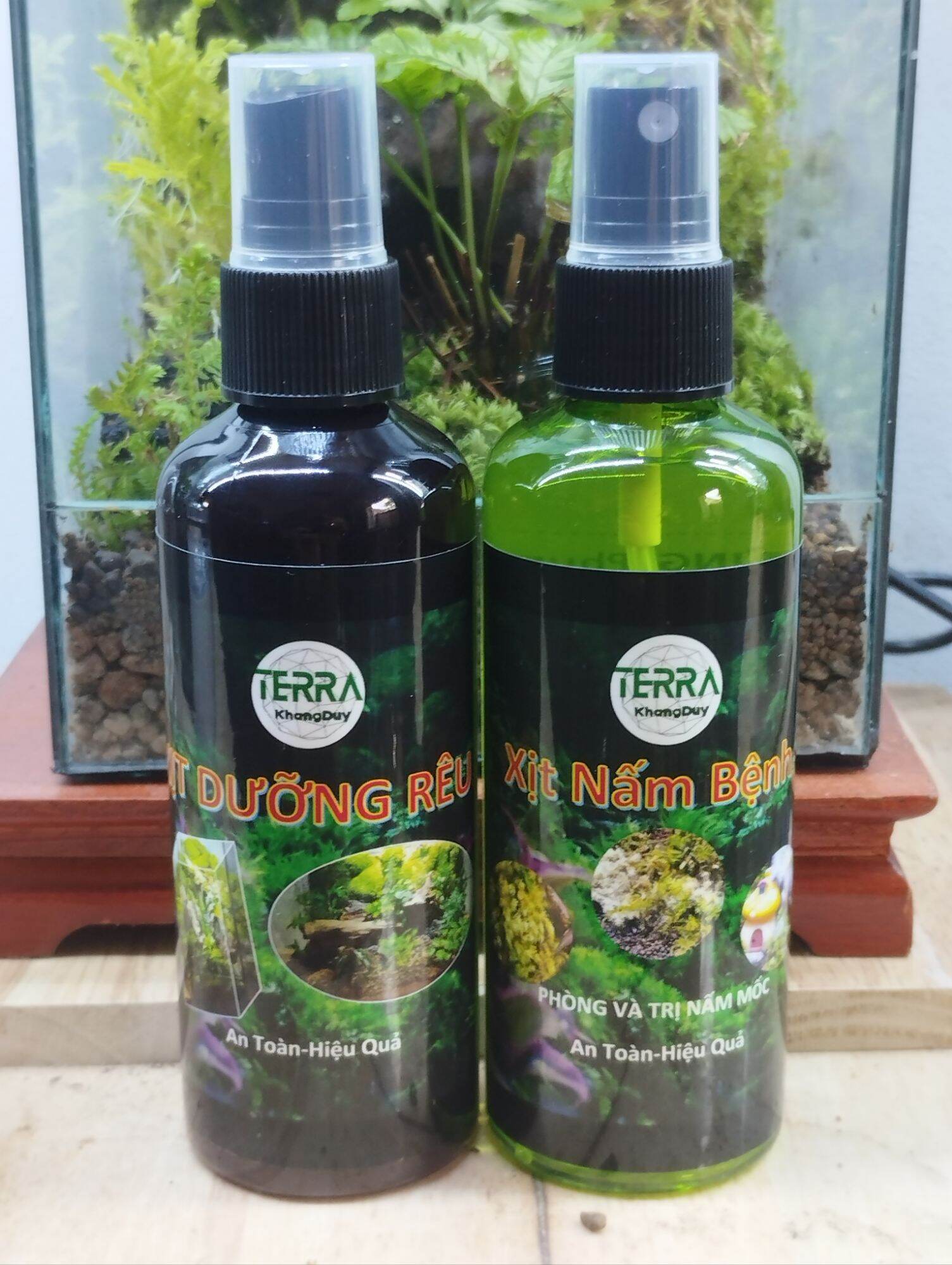 Xịt nấm, dưỡng rêu cây sỉ inb