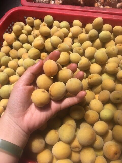 1kg nước mơ ngâm đường