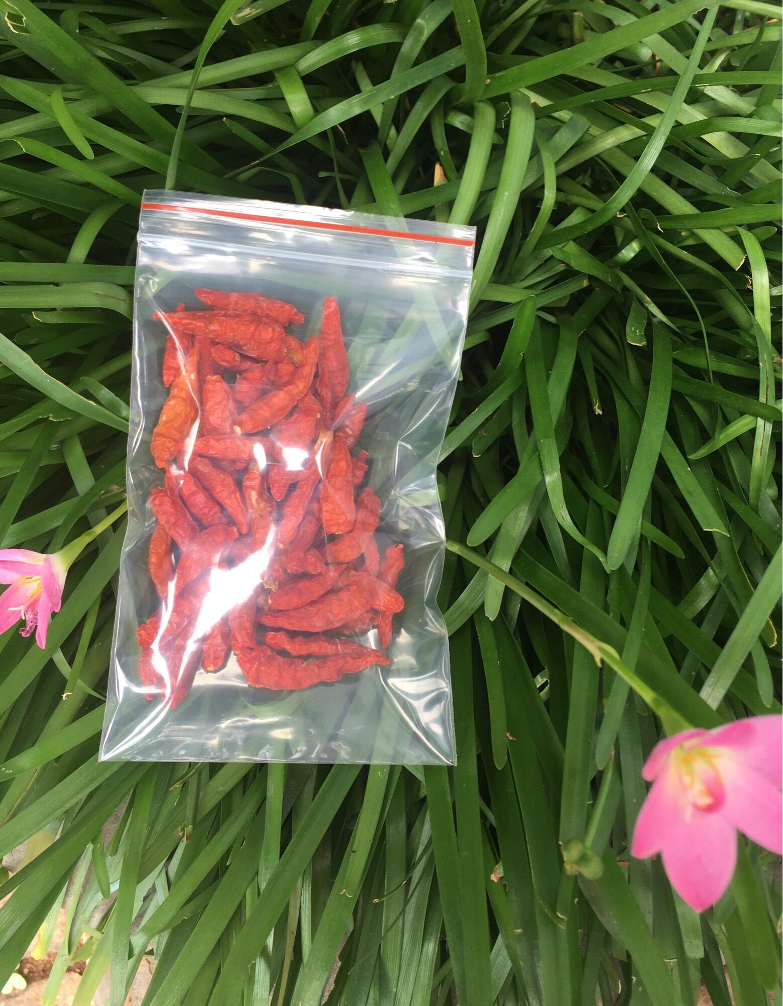 Ớt xiêm khô 100gr
