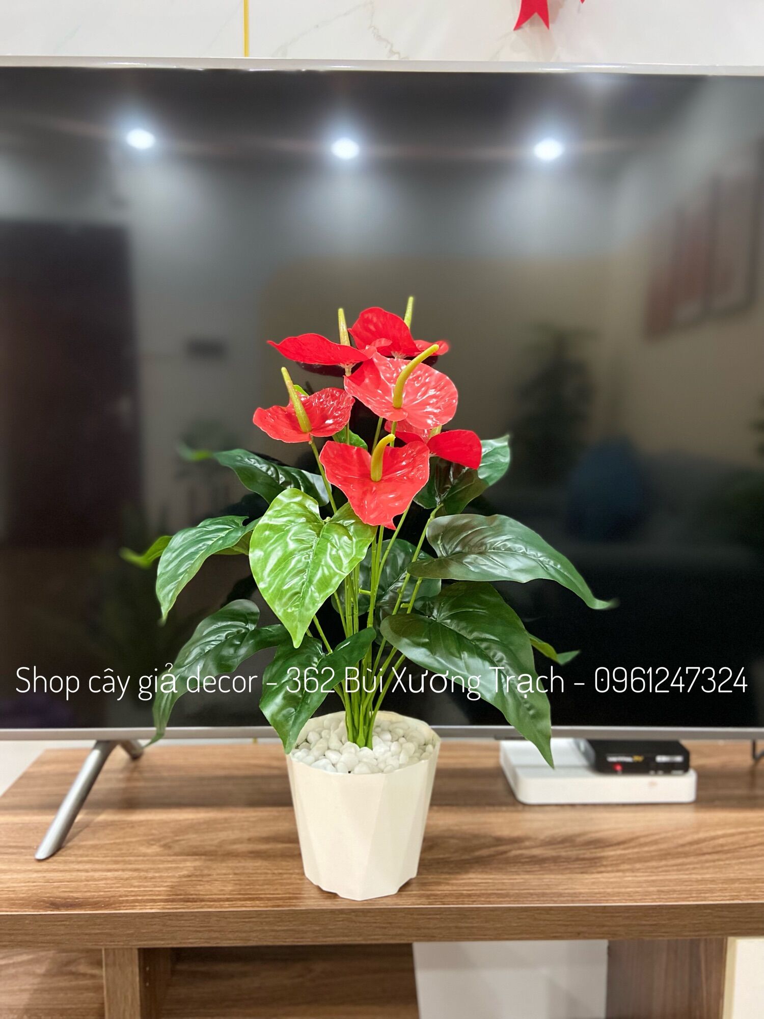 Cây giả - cây hồng môn yến 50cm - cây nhựa pvc