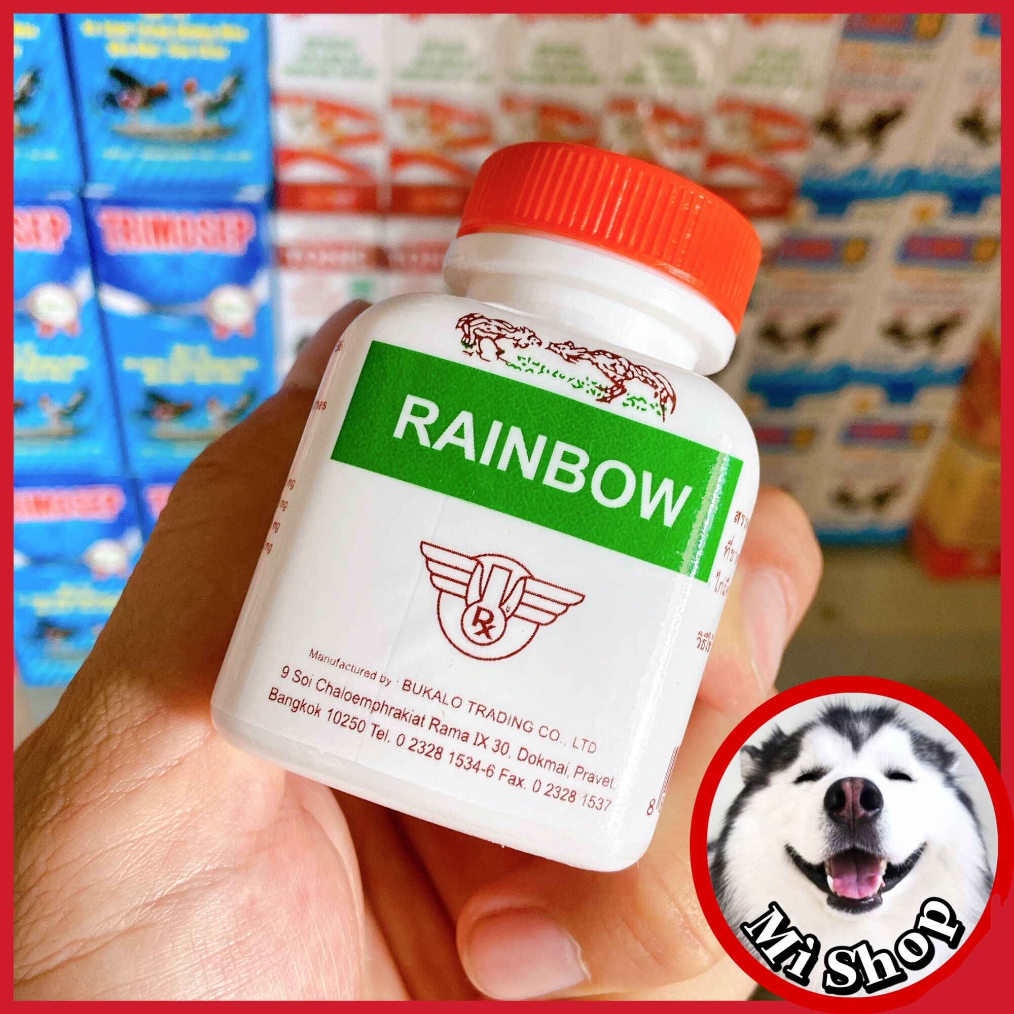 Rianbow gà đá 50 viên