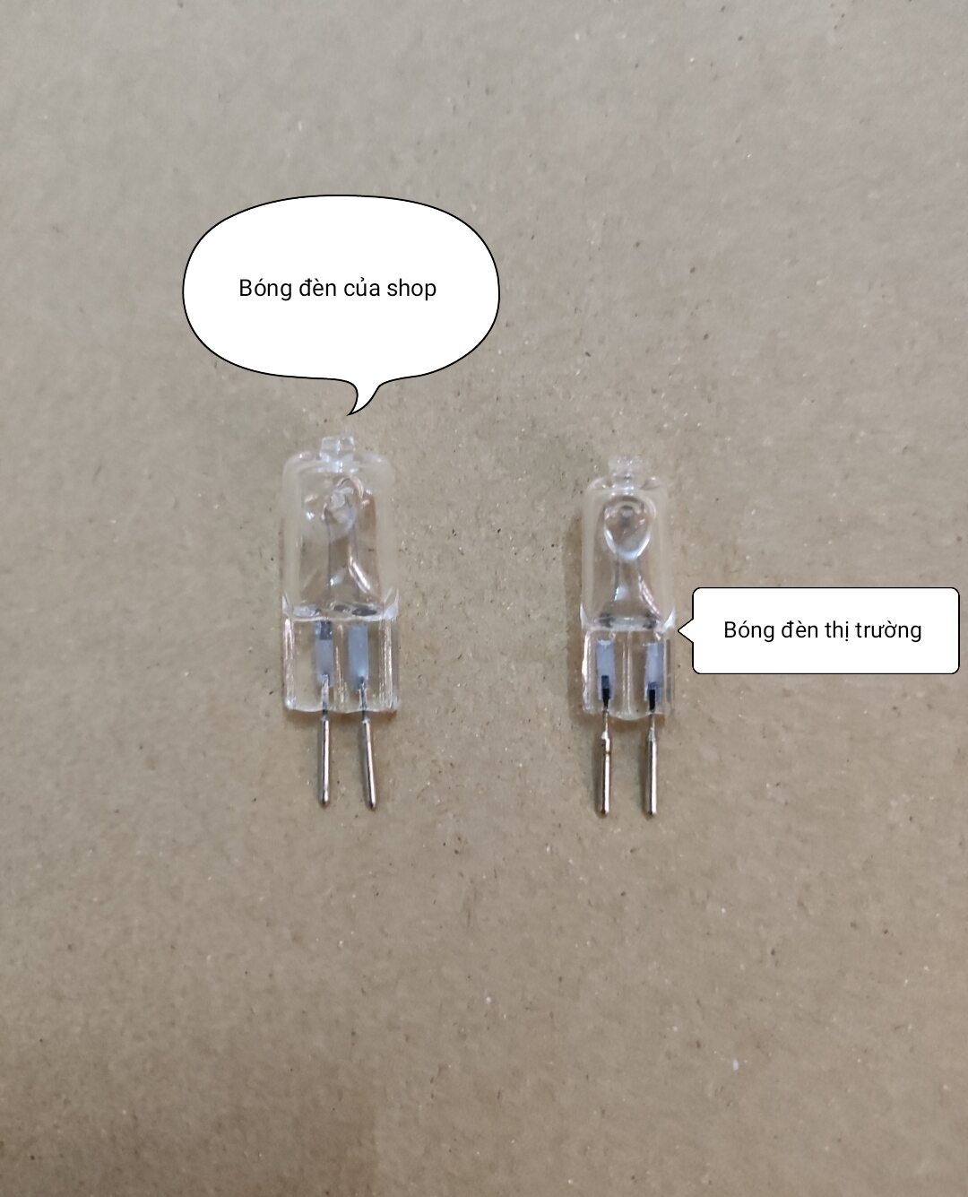 Bóng đèn Halogen 220V/35W - Đèn xông tinh dầu