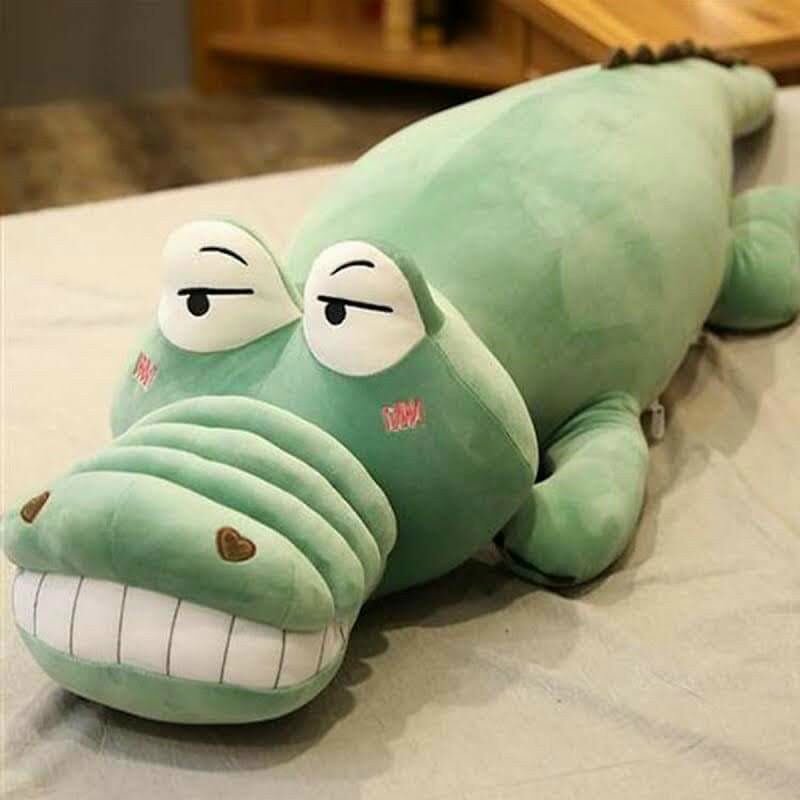 Gói ôm cá sấu