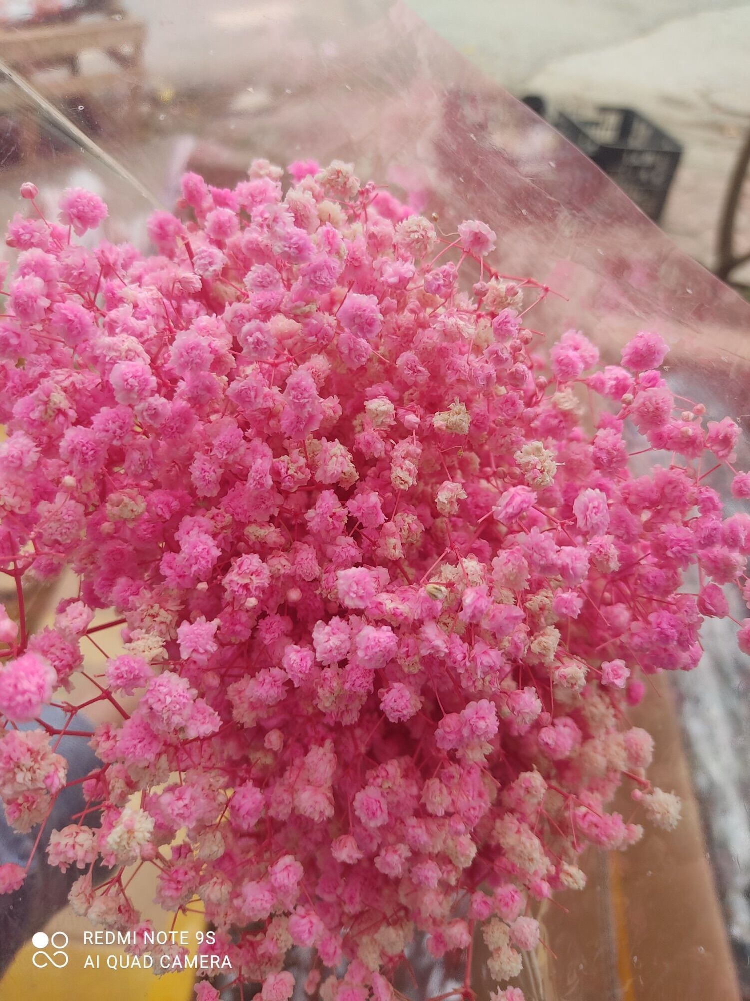 Hoa Baby Khô - Quà Tặng Hoa Khô, Decor Trang Trí bó 100gr