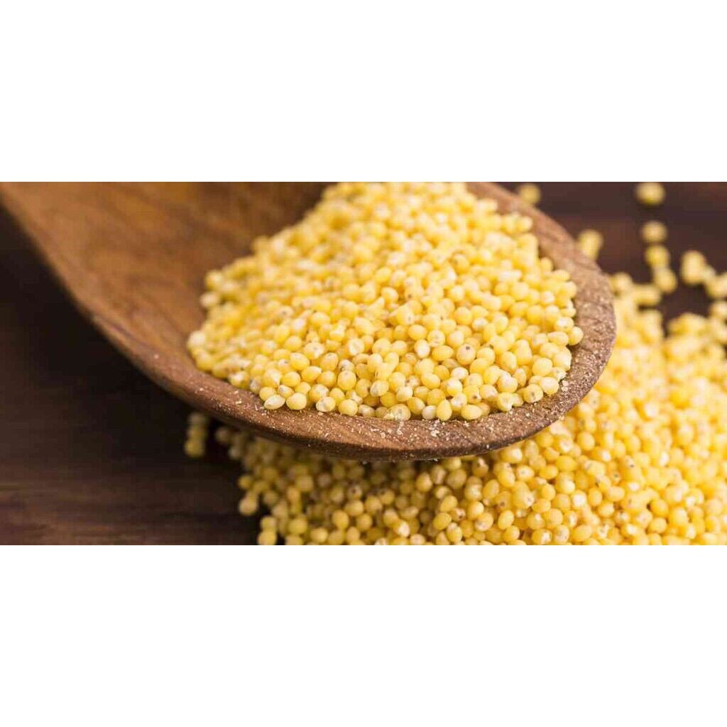 [ Tách lẻ 100g] Hạt kê hữu cơ Markal - Pháp