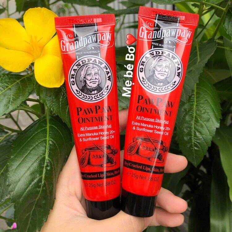 Kem đa năng đu đủ Grandpawpaw Úc 25g