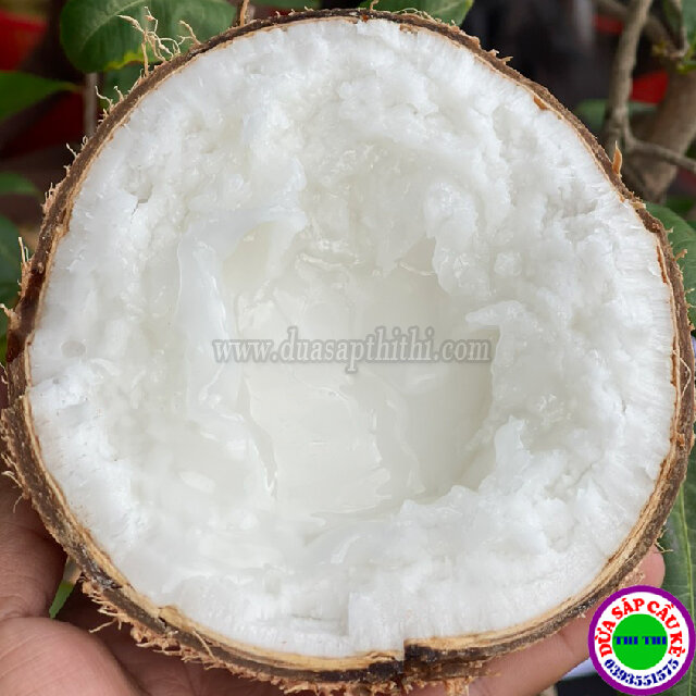 Dừa Sáp Cầu Kè Trà Vinh - Loại Ngon (Nhiều Loại)