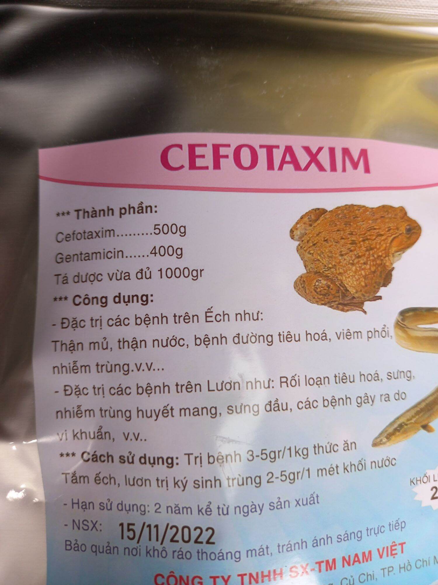 CEFOTAXIM chuyên cho ếch lươn