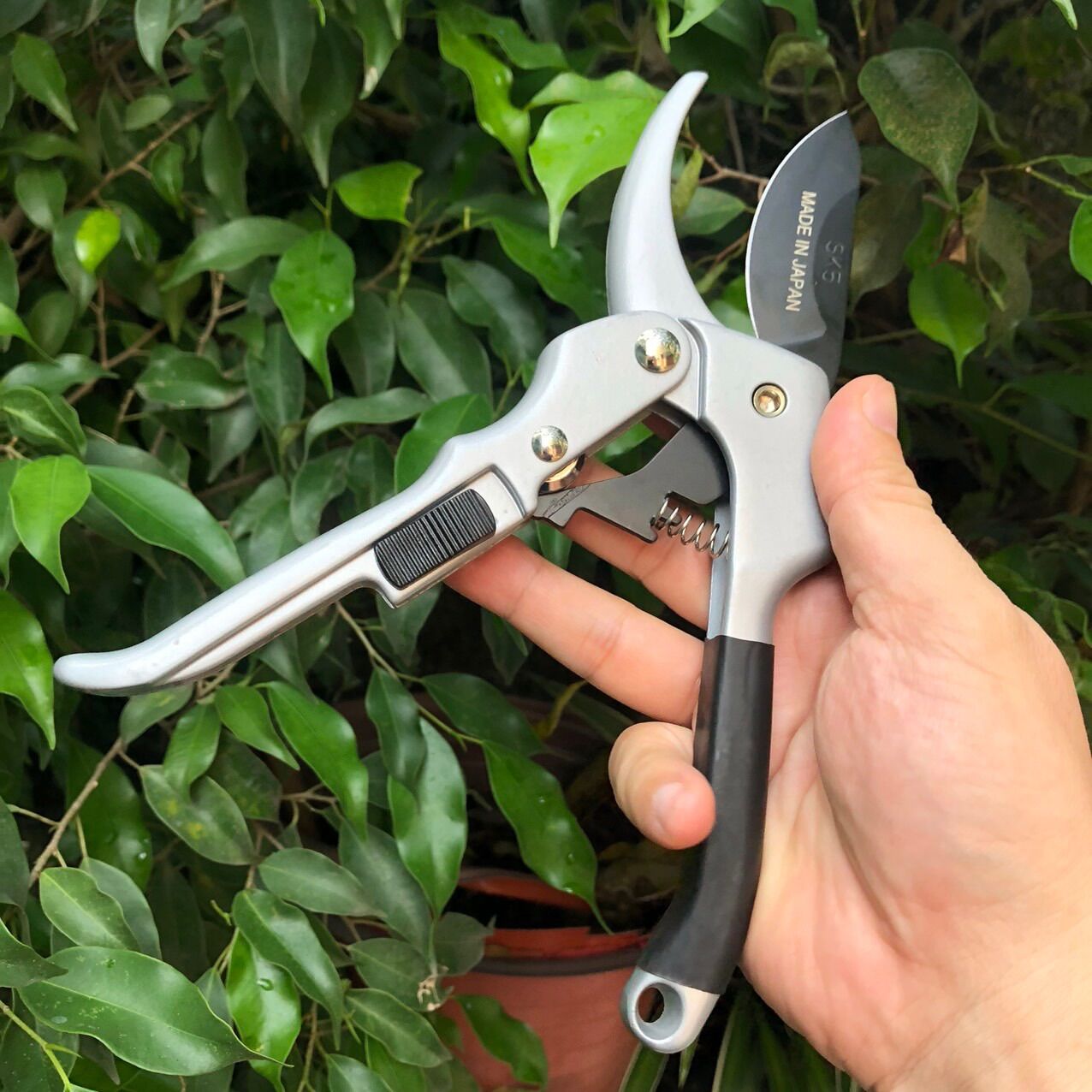 Kéo cắt cành cộng lực SK5 Nhật siêu sắc bén