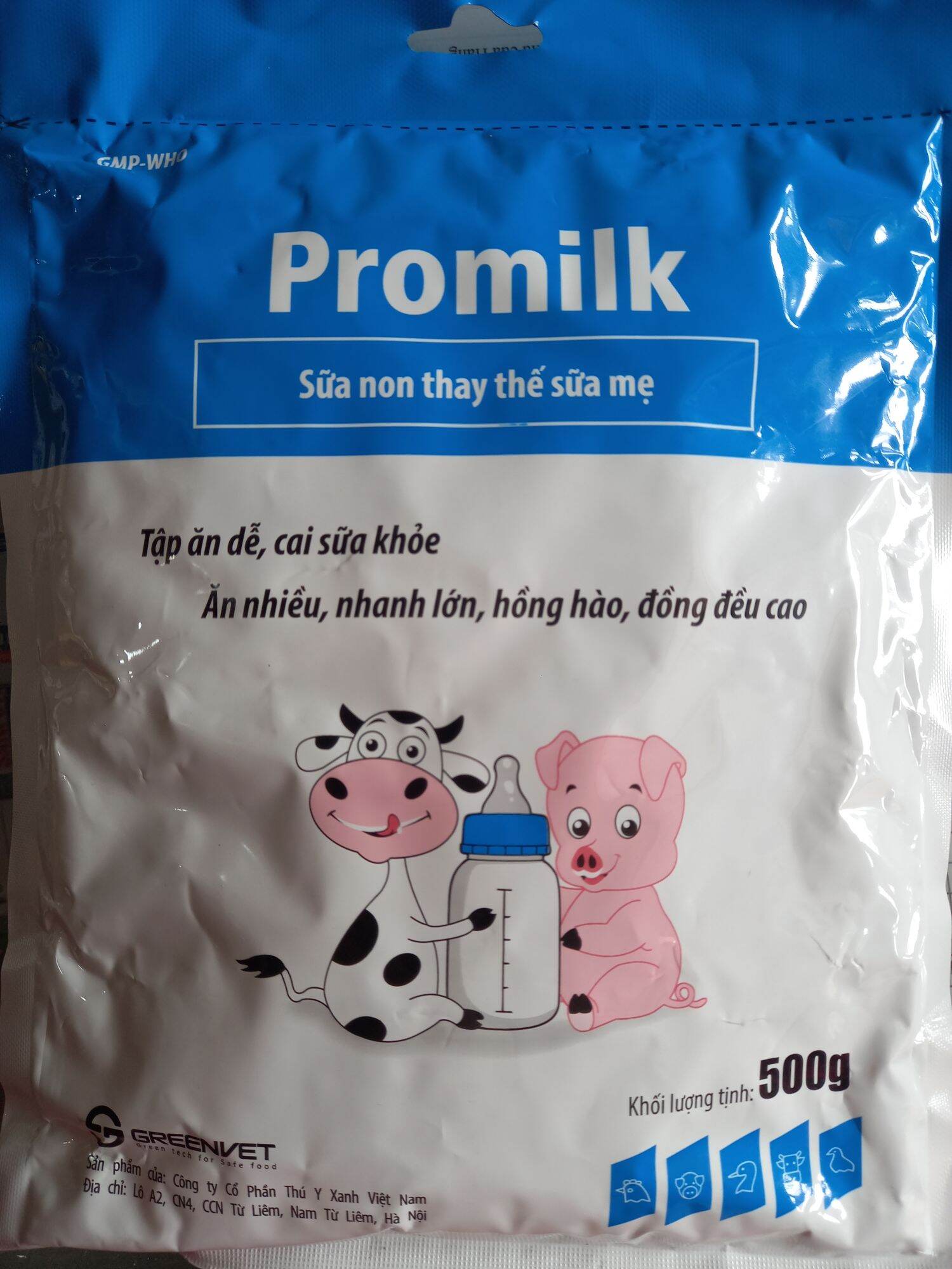 Promilk sữa non thay thế sữa mẹ cho trâu, bò, dê, cừu, chó ,mèo