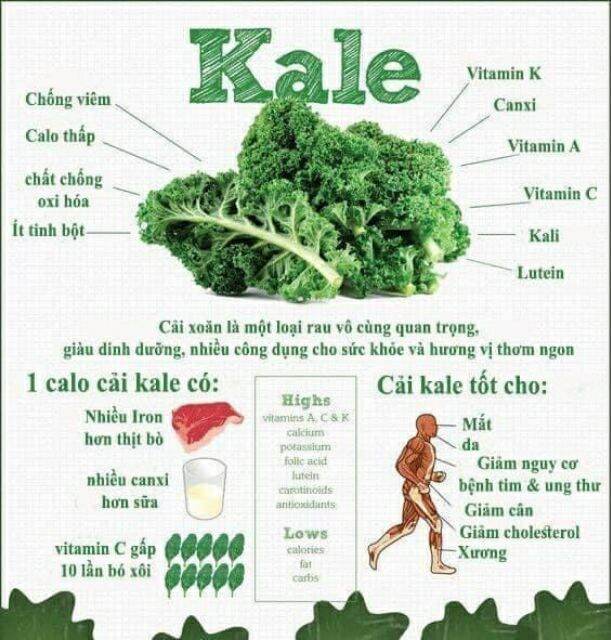 Mì rau cải Kale Organic gói 500g (18 vắt)