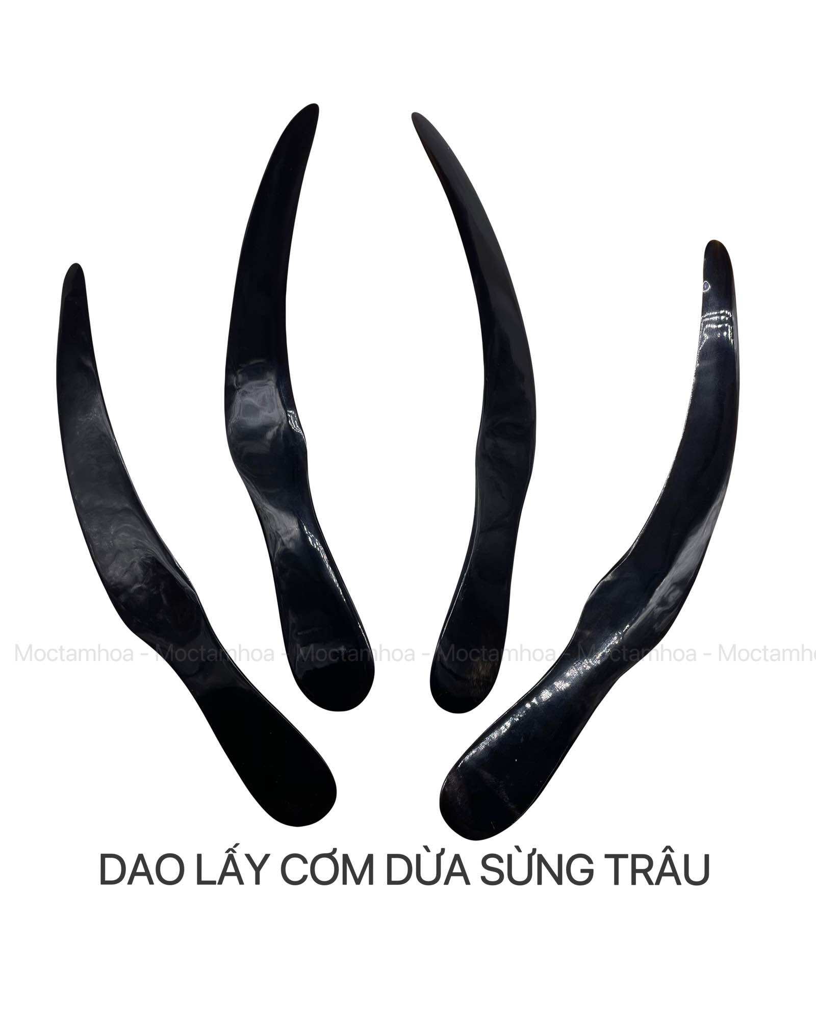 Dao lấy cơm dừa bằng sừng trâu siêu dẻo giúp lóc cơm dừa dễ dàng tiện nhanh chóng hàng xuất khẩu tiêu chuẩn nhật