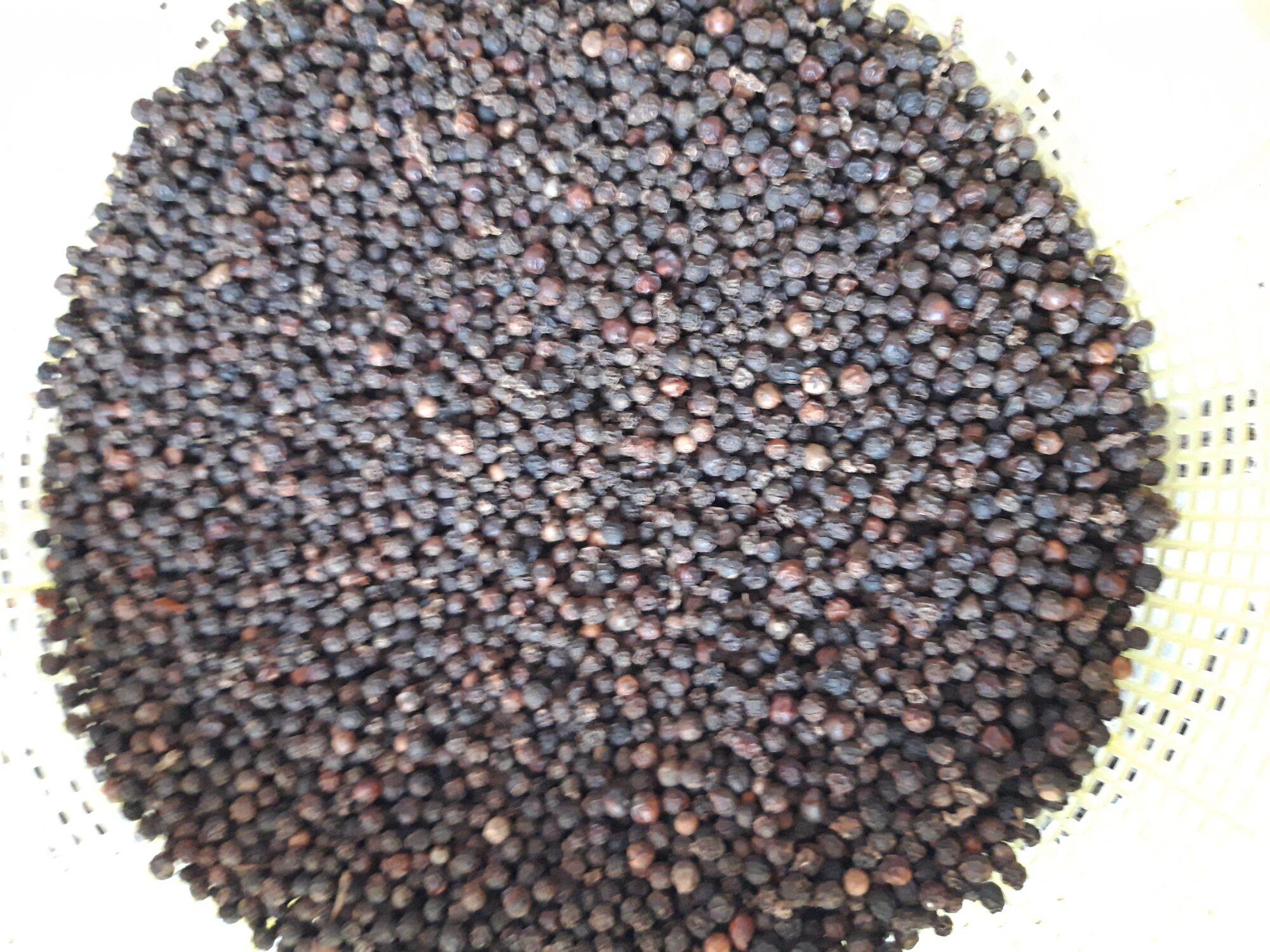 5 lạng hạt tiêu nhà, thơm cay