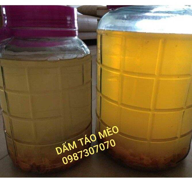 Giấm táo mèo dấm táo mèo 1000ml