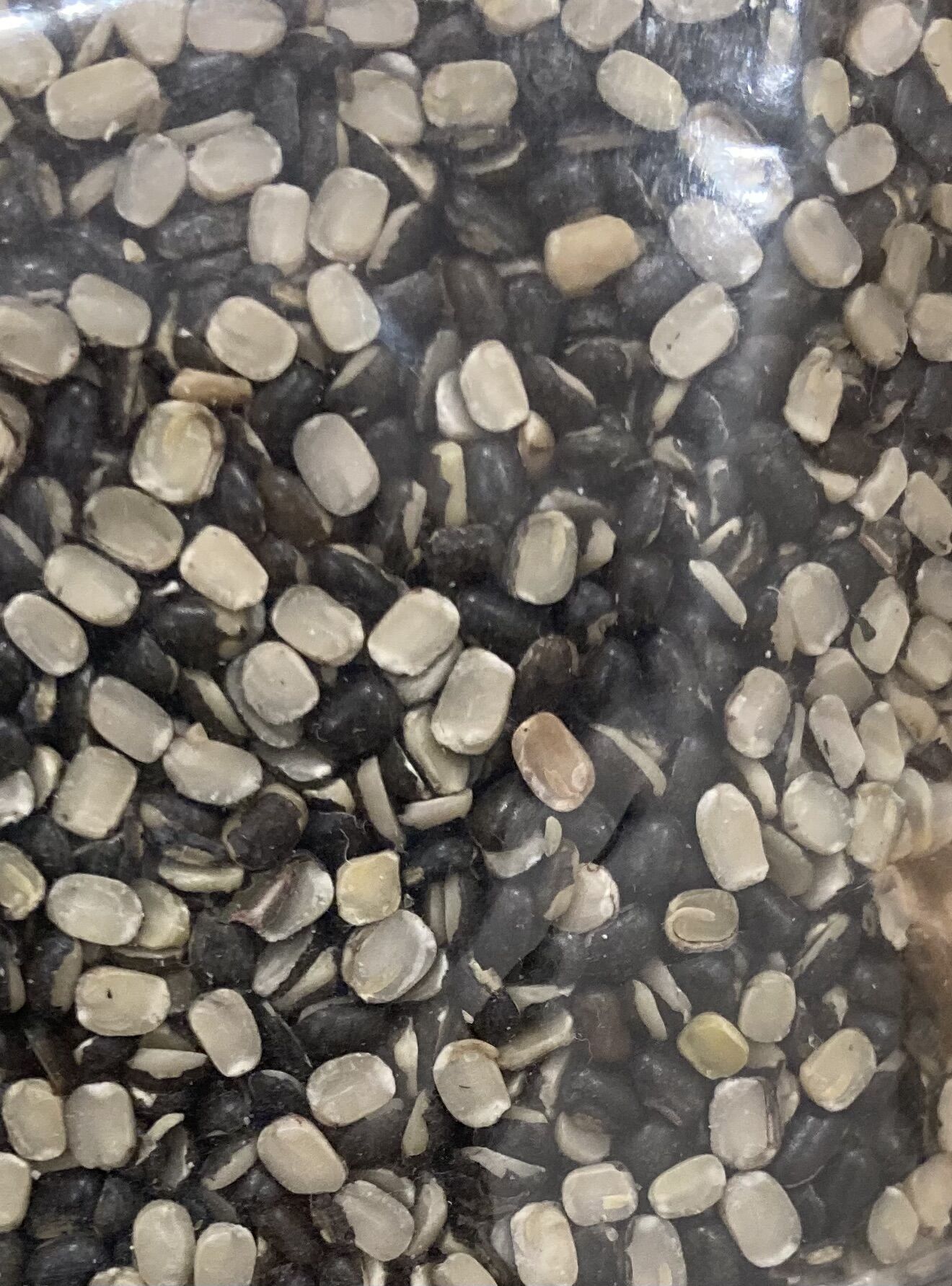 Black Urad Chilka1kg, đậu lăng, đậu lăng đen
