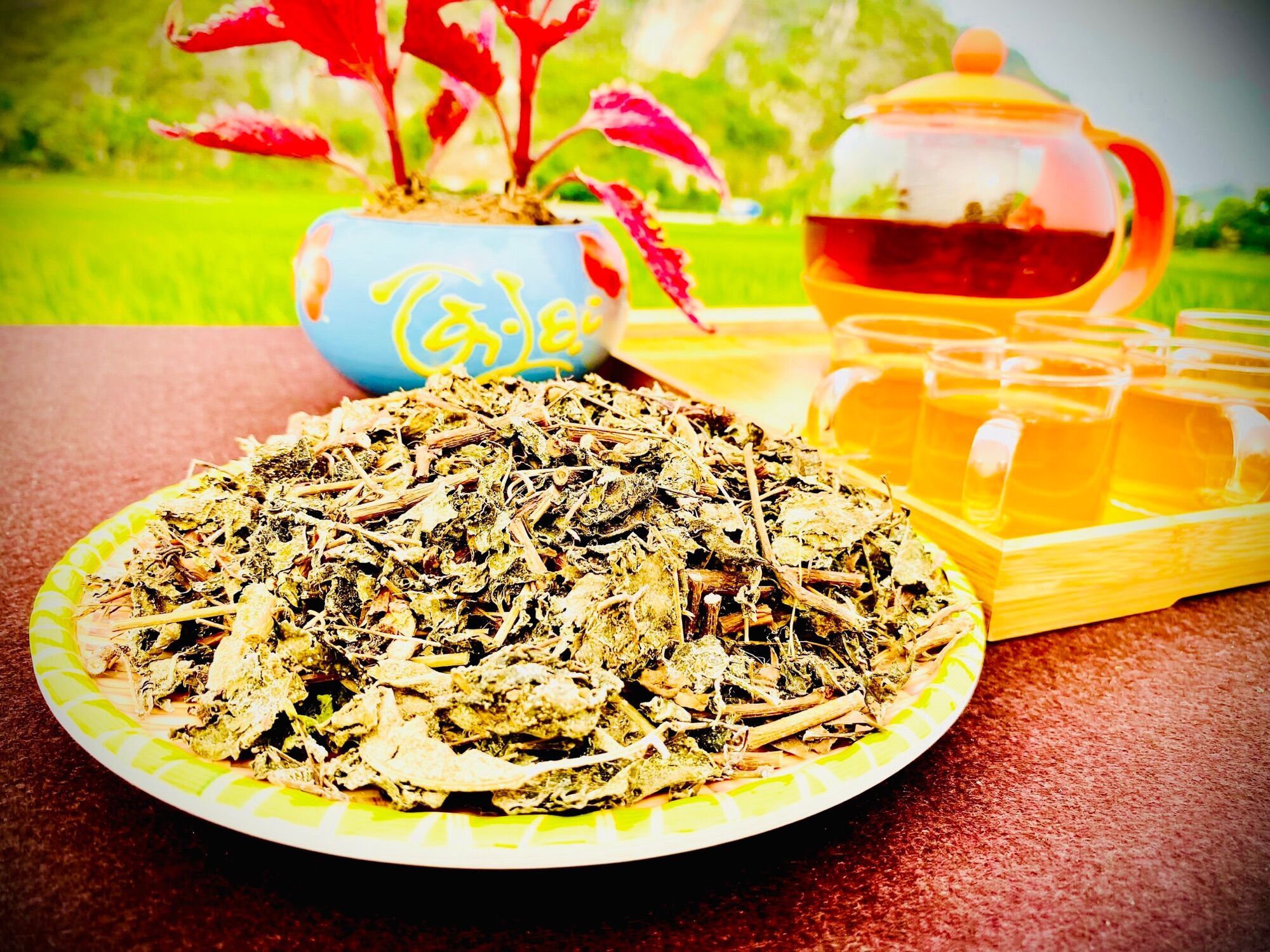 CHÈ DÂY CAO BẰNG - LOẠI ĐẸP 1KG