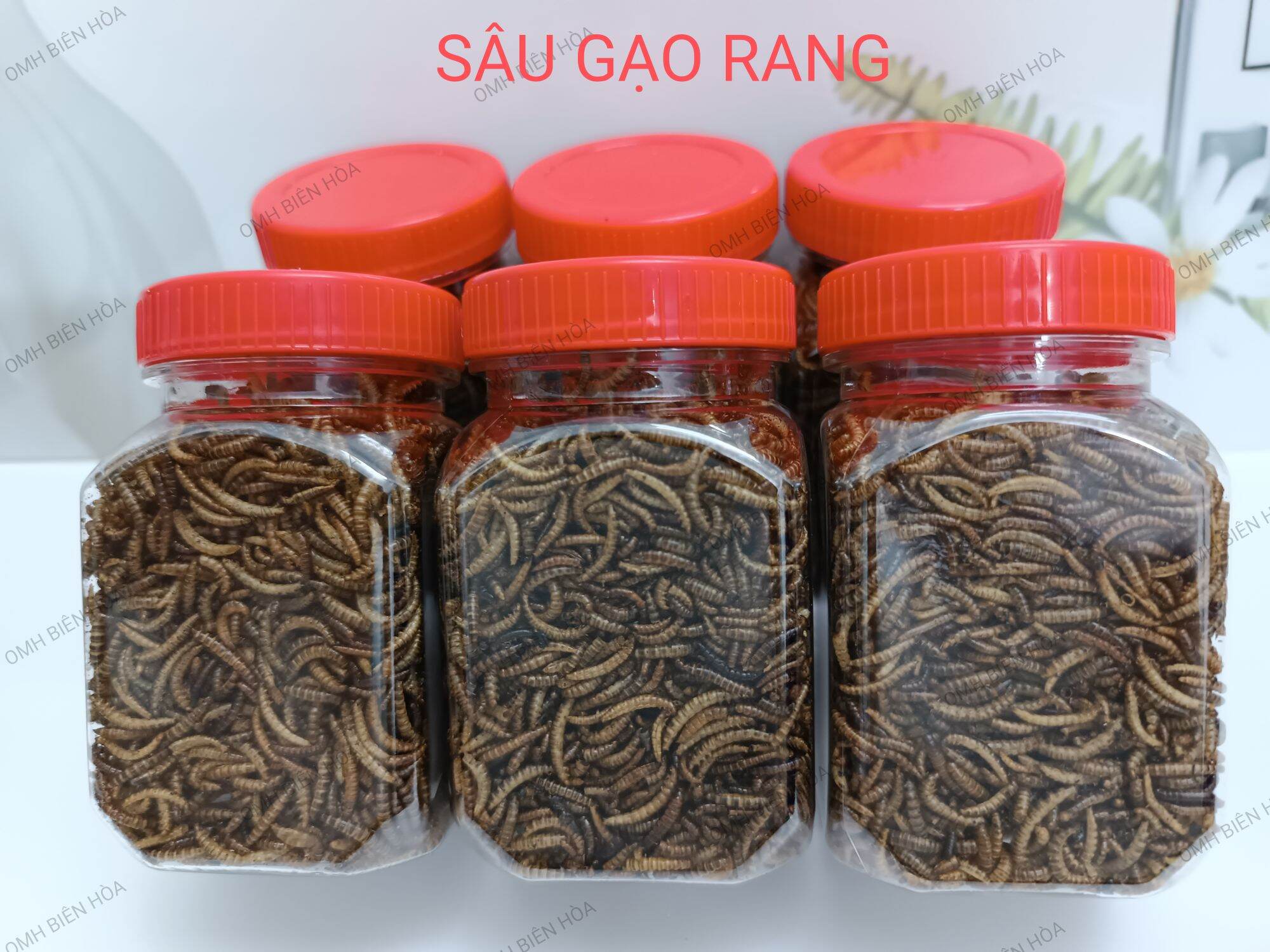 Sâu gạo rang, thức ăn dinh dưỡng cho Hamster,Chim, Sóc....OMH Biên Hòa