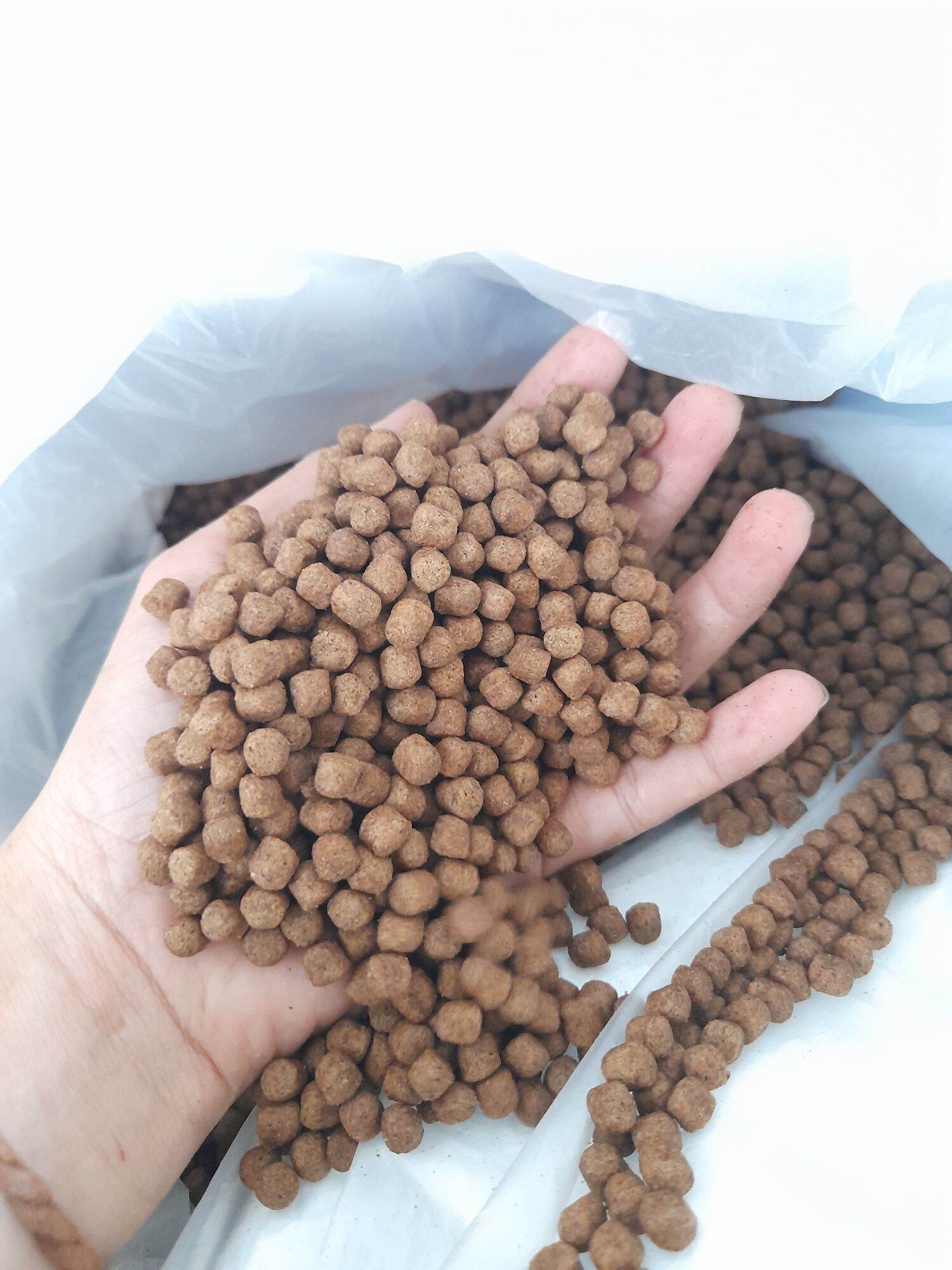 Thức ăn cá koi 1kg