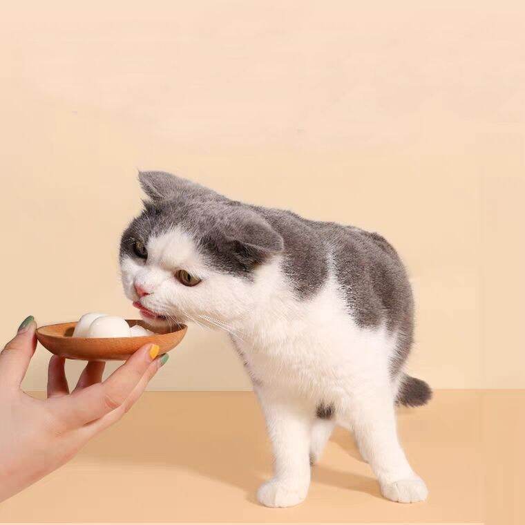 Pudding Sữa Dê Cho Mèo