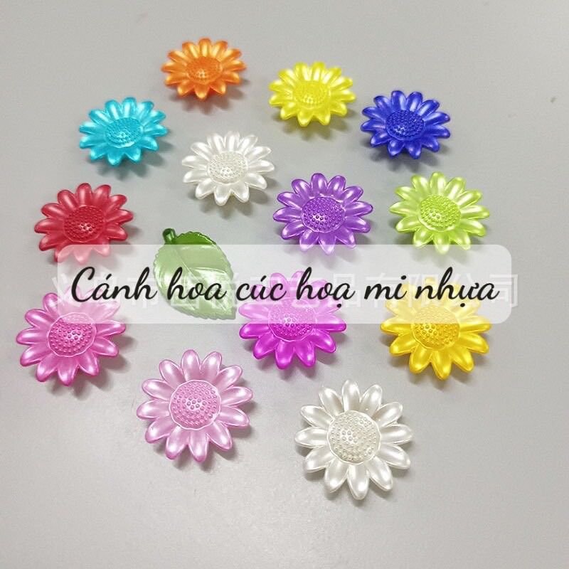 Hoa cúc hoạ mi nhựa,50gr cánh tự làm hoa handmade, cúc hoạ mi đẹp