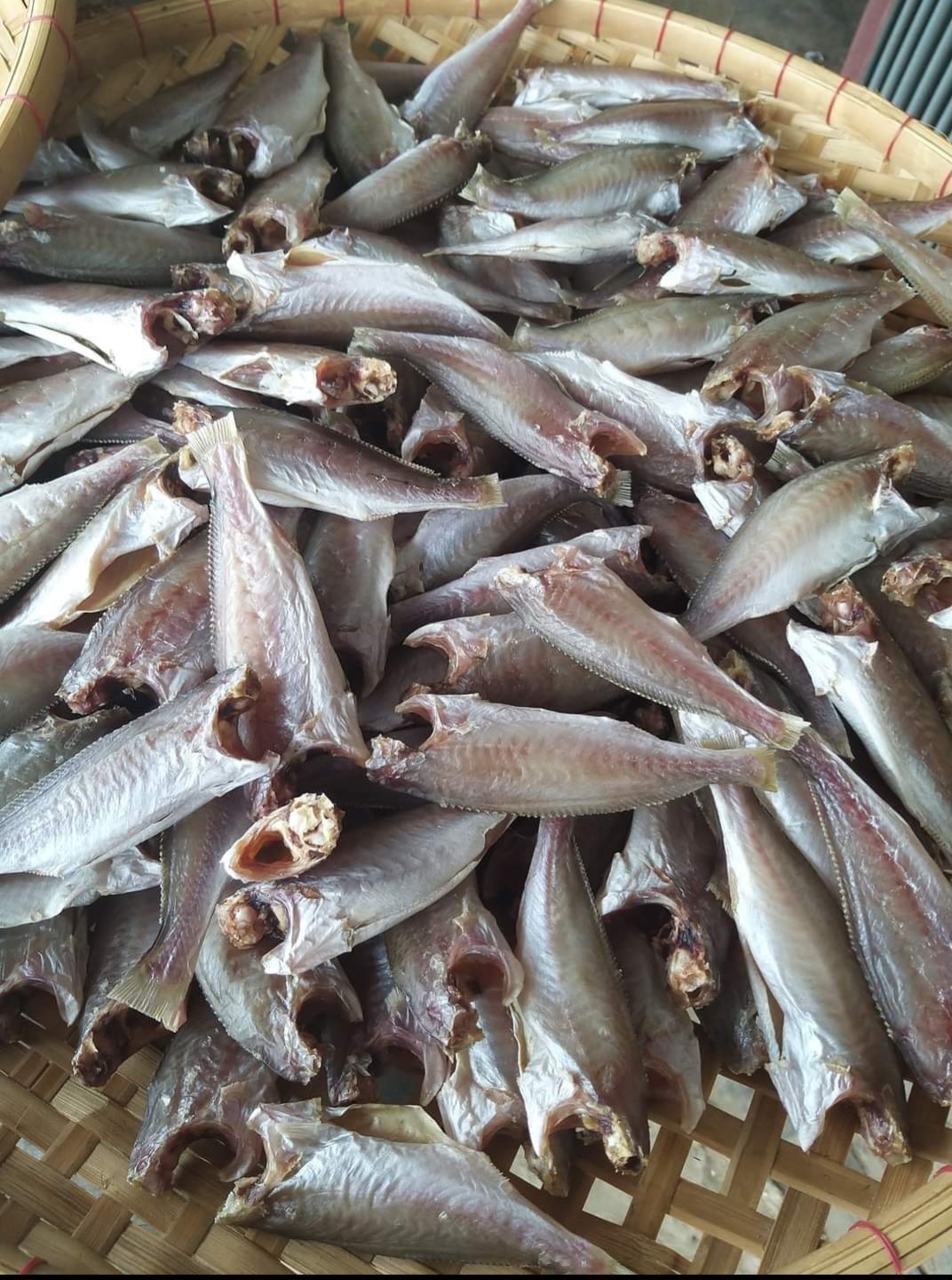 Khô đù cà mau