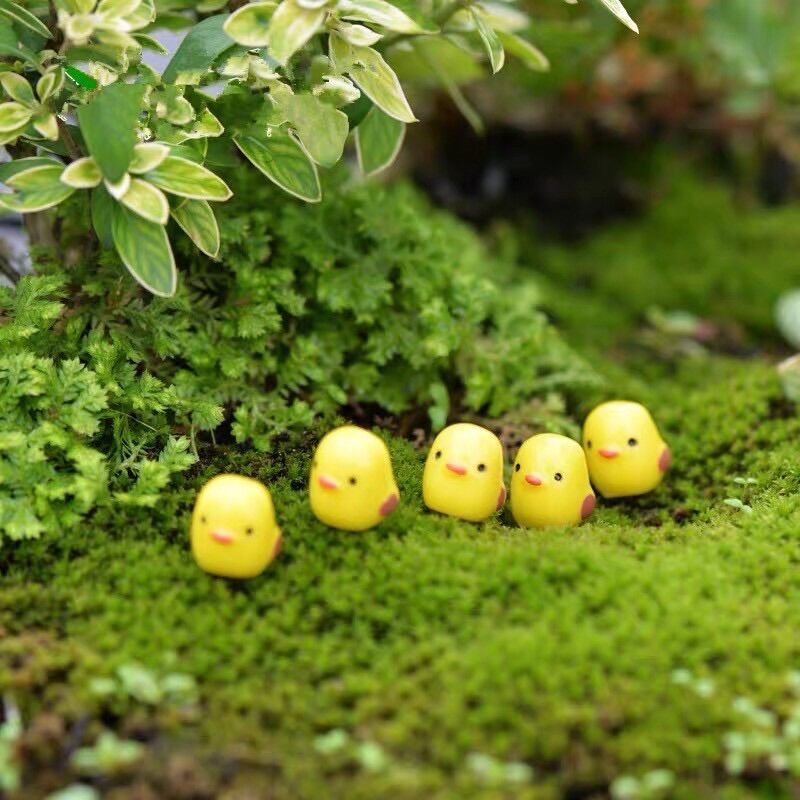 10 gà con phụ kiện trang trí tiểu cảnh terrarium
