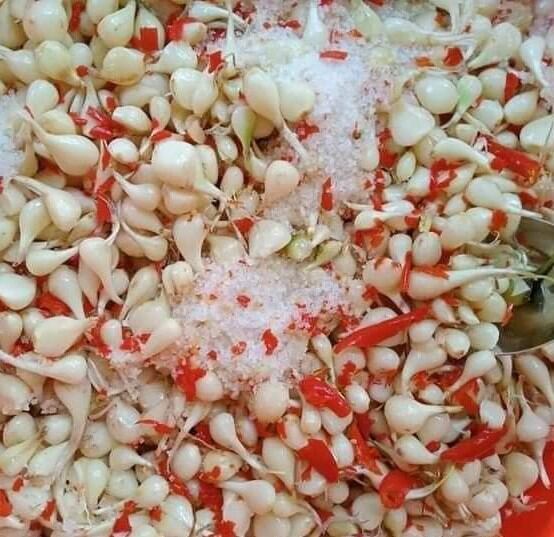 Củ kiệu chua cay mặn ngọt (cay  nhẹ, hủ 500gr)