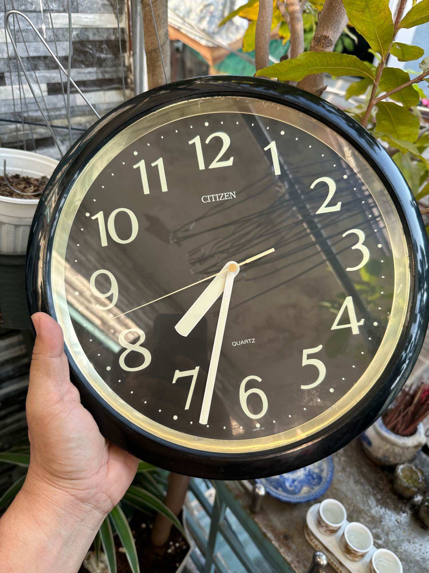 Đồng hồ treo tường citizen nội địa nhật