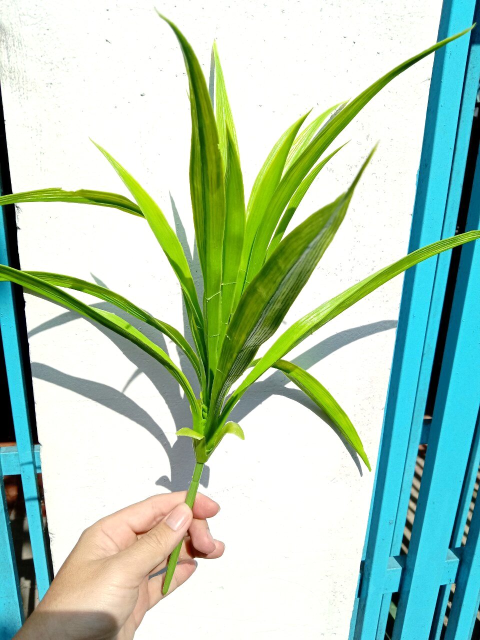 hoa lụa - cụm lá dứa, lá lan nhưa