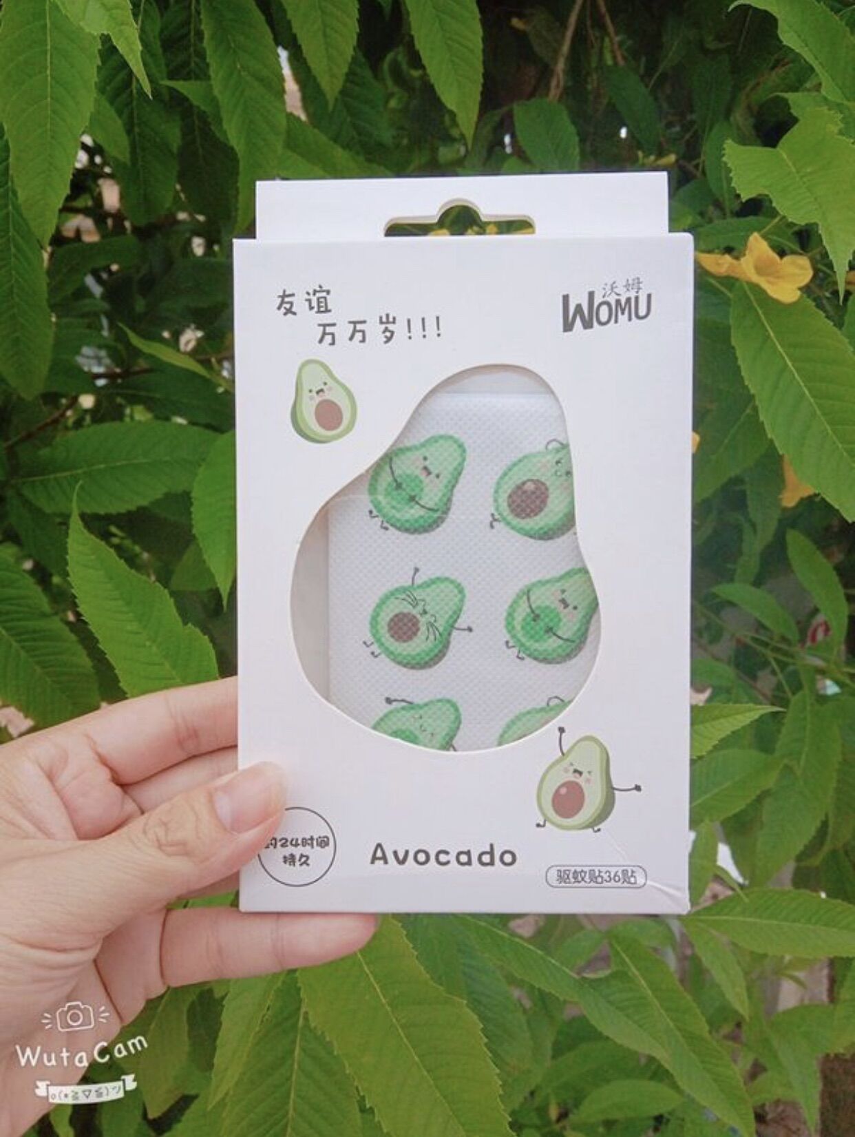 Miếng Dán Chống Muỗi Đốt Hình Trái Bơ Cute Dễ Thương