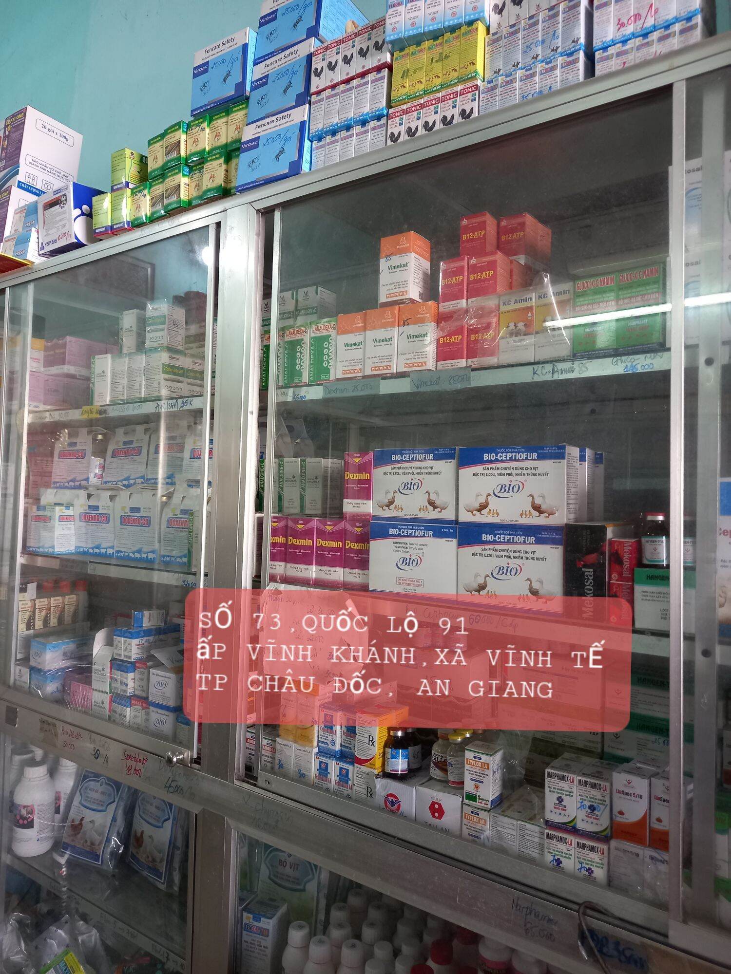 Nọc Rắn Black Mamba,Lọ 10 Viên,Tăng Lực Gà Đá