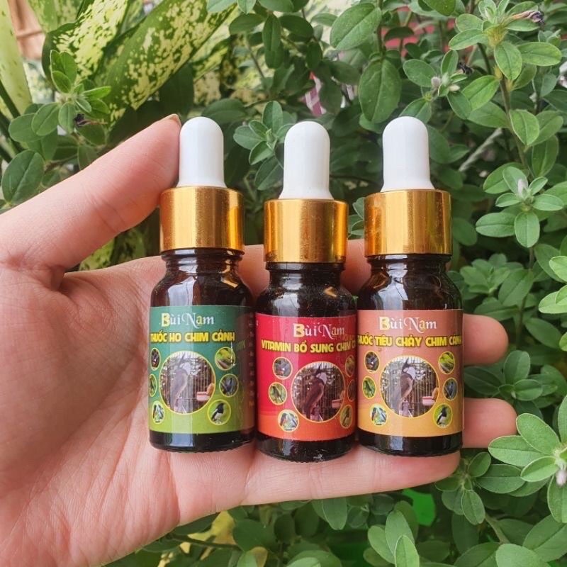 Hỗ trợ tiêu chảy chim cảnh Bùi Nam