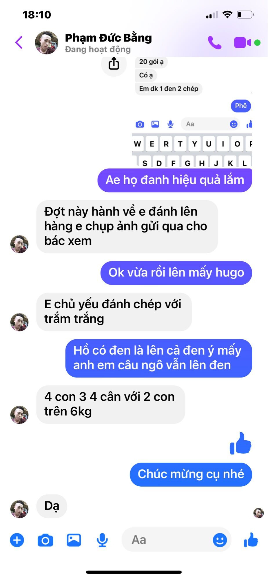 Mồi câu cá trắm đen trắm cỏ, chép.