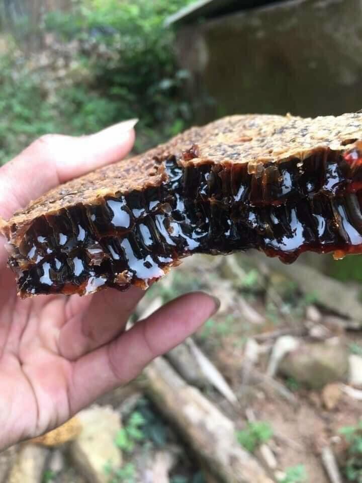 Mật Ong đen 1 lít
